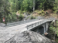 pont-flee1