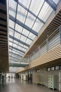 College-Rose-Valand